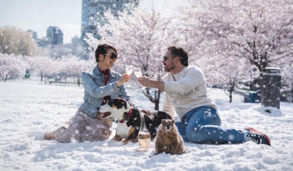 Blu Newsletter - March 2026 - Snowy Cherry Blossoms